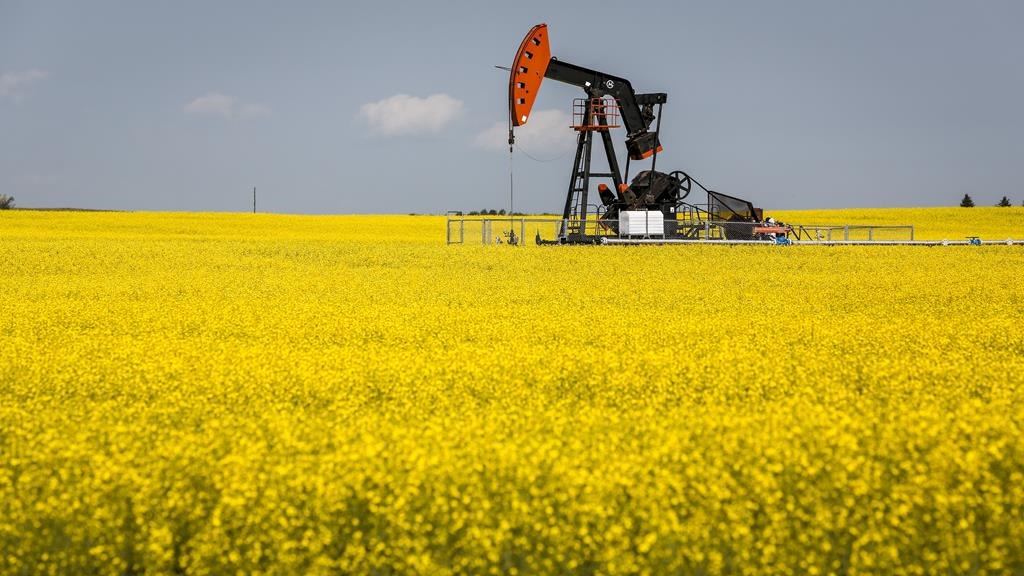 NEWS: Oilpatch keeping the lid on spending amid record-setting output